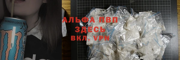 стафф Алексин