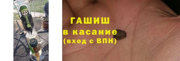 стафф Алзамай