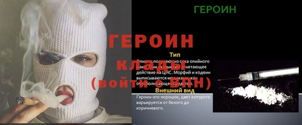 стафф Алексин