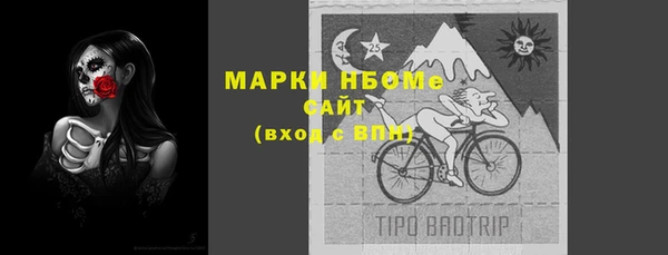 стафф Алзамай