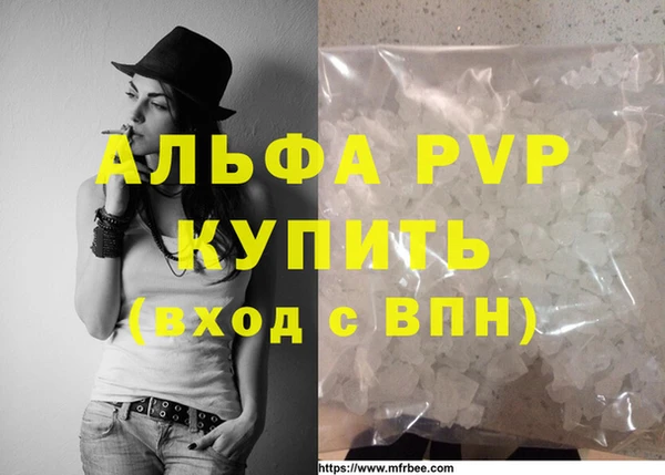 стафф Алзамай