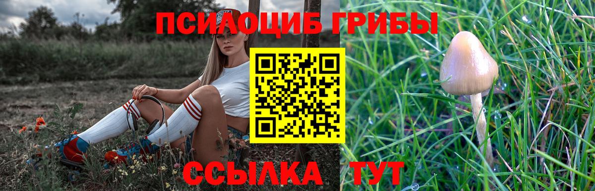 Псилоцибиновые грибы GOLDEN TEACHER Сухой Лог